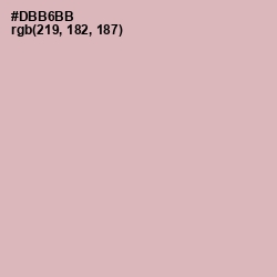 #DBB6BB - Blossom Color Image