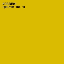 #DBBB01 - Galliano Color Image