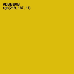 #DBBB0B - Galliano Color Image