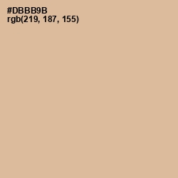 #DBBB9B - Cameo Color Image