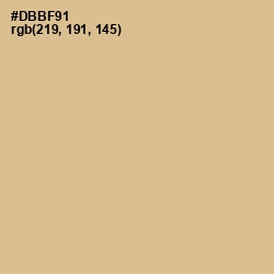 #DBBF91 - Cameo Color Image