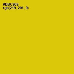 #DBC909 - Bird Flower Color Image