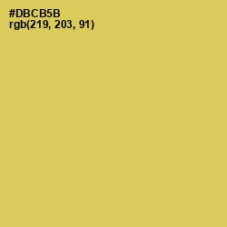 #DBCB5B - Wattle Color Image