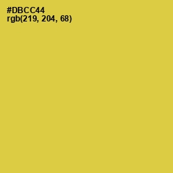 #DBCC44 - Wattle Color Image