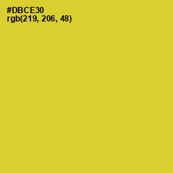#DBCE30 - Sunflower Color Image