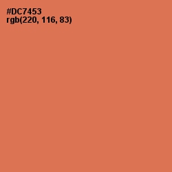 #DC7453 - Raw Sienna Color Image