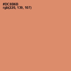 #DC8B6B - Copperfield Color Image