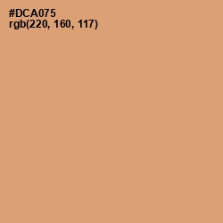 #DCA075 - Apache Color Image