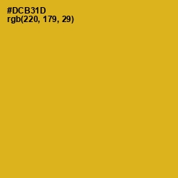 #DCB31D - Gold Tips Color Image