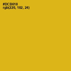 #DCB618 - Gold Tips Color Image