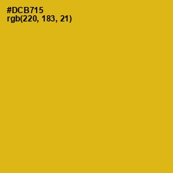 #DCB715 - Gold Tips Color Image