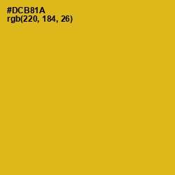 #DCB81A - Gold Tips Color Image