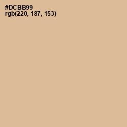 #DCBB99 - Cameo Color Image