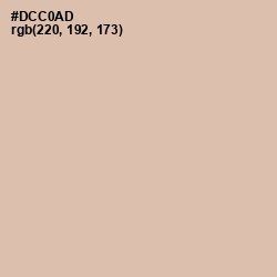 #DCC0AD - Akaroa Color Image