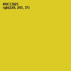#DCCB25 - Sunflower Color Image