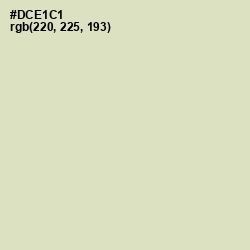 #DCE1C1 - Beryl Green Color Image