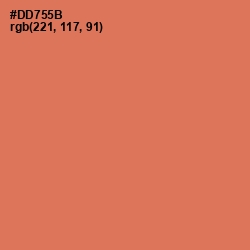 #DD755B - Raw Sienna Color Image