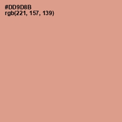 #DD9D8B - My Pink Color Image