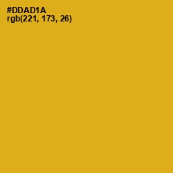 #DDAD1A - Gold Tips Color Image