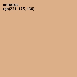 #DDAF88 - Tumbleweed Color Image