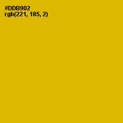 #DDB902 - Galliano Color Image