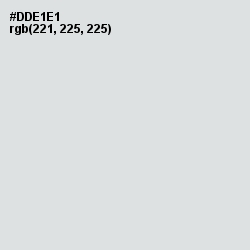 #DDE1E1 - Swans Down Color Image