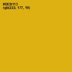 #DEB113 - Gold Tips Color Image