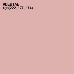 #DEB1AE - Clam Shell Color Image