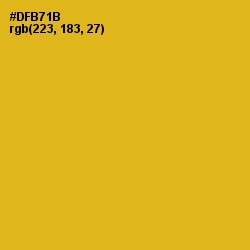 #DFB71B - Gold Tips Color Image