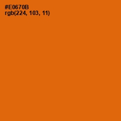 #E0670B - Clementine Color Image