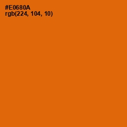 #E0680A - Clementine Color Image