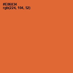#E06834 - Burning Orange Color Image