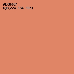 #E08667 - Apricot Color Image