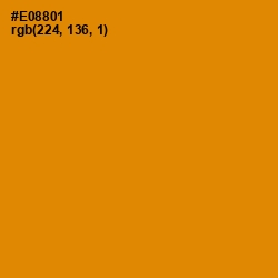 #E08801 - Gold Drop Color Image