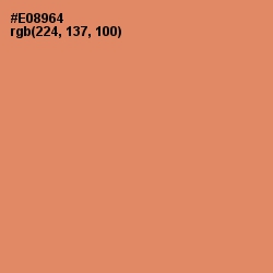 #E08964 - Apricot Color Image