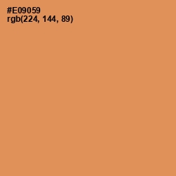 #E09059 - Tan Hide Color Image
