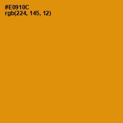 #E0910C - Gamboge Color Image