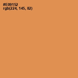 #E09152 - Tan Hide Color Image