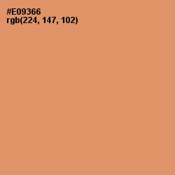 #E09366 - Apricot Color Image