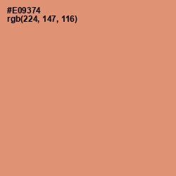 #E09374 - Apricot Color Image