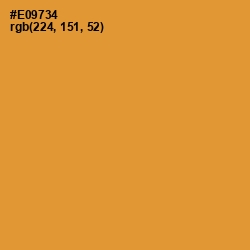 #E09734 - Fire Bush Color Image