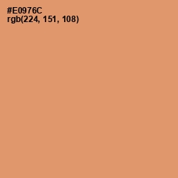 #E0976C - Apricot Color Image