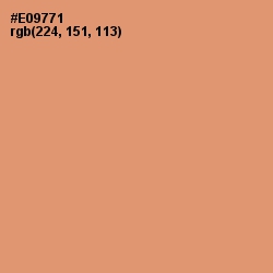 #E09771 - Apricot Color Image