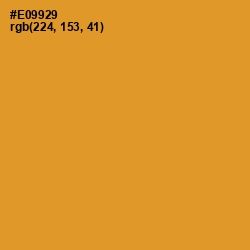 #E09929 - Fire Bush Color Image