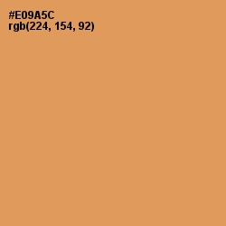 #E09A5C - Tan Hide Color Image