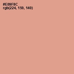 #E09F8C - Tonys Pink Color Image