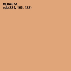 #E0A67A - Harvest Gold Color Image