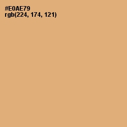 #E0AE79 - Harvest Gold Color Image