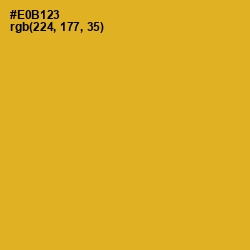 #E0B123 - Fuel Yellow Color Image