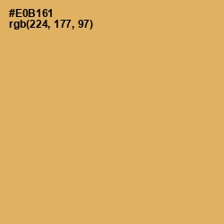 #E0B161 - Equator Color Image